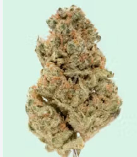 Mango OG 28g