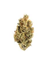 Cherry Bomb 14g