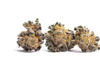 Grape vine 14g